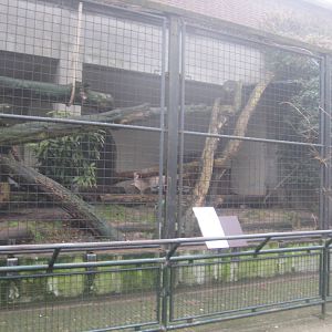 Jaguar enclosure
