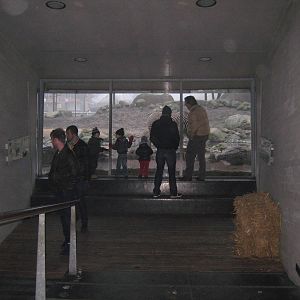 Savannah viewing area