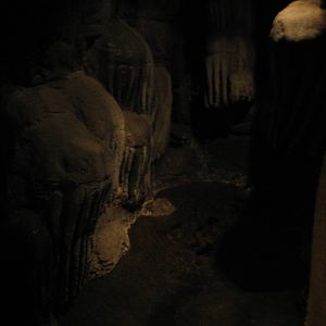 Blind cavefish pool in the 'Jungle by night'