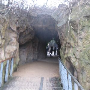 Cave entrance to Savannah