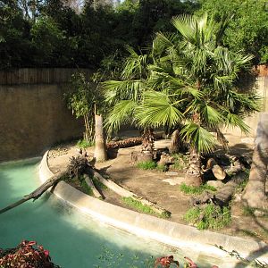 Sumatran Tiger Habitat
