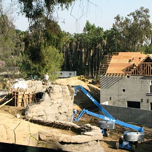 Pachyderm Forest Construction Feb. 12, 2010