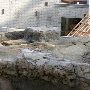 Pachyderm Forest Construction Feb. 12, 2010