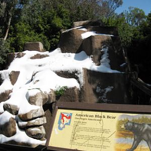 black bear habitat with snow