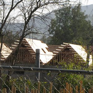 Elephant Barn Taking Shape