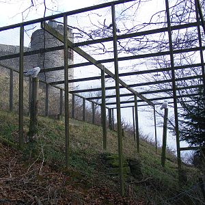 Enclosure for snowy owls at Dudley Zoo, 12 February 2010