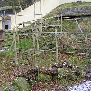 Enclosure for Inca the Asiatic black bear at Dudley Zoo, 12 February 2010
