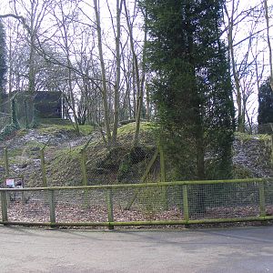 Enclosure for bush dogs at Dudley Zoo, 12 February 2010