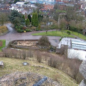 View of the meerkat enclosure, reptile house and sensory garden from the to