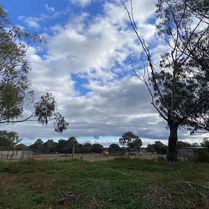 Off display White Rhino Paddock
