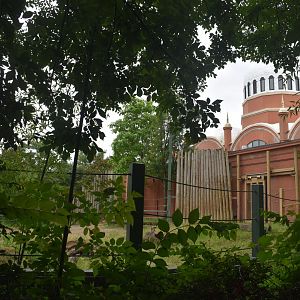 Jun. 2025 - Elephant Reserve - Temporary Black Rhino Exhibit (Former Elephant)