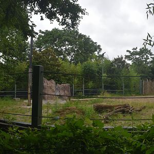 Jun. 2025 - Elephant Reserve - Temporary Black Rhino Exhibit (Former Elephant)