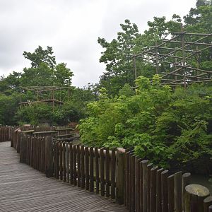 Jun. 2025 - Gibbon Islands (1974-2025)