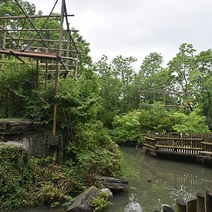 Jun. 2025 - Gibbon Islands (1974-2025)