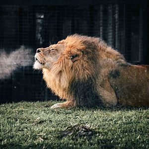 A chilly Melbourne morning