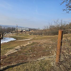 Outdoor elephant space 1