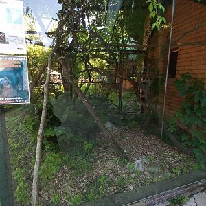 Tamarin - outdoor enclosure