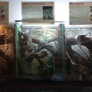 Terrariums in carnivore house