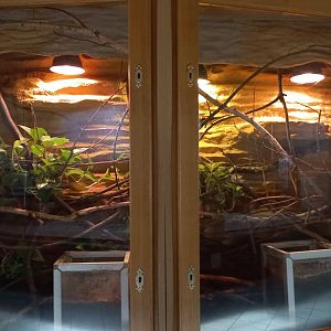 Terrarium in carnivore house