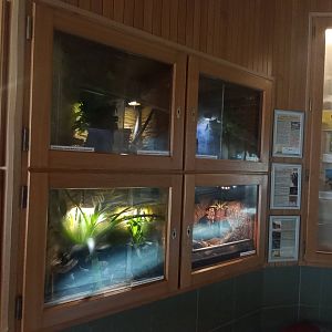 Terrariums in carnivore house