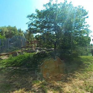 Lion - outdoor exhibit