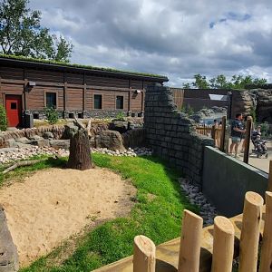 North America Trek: Otter Viewing