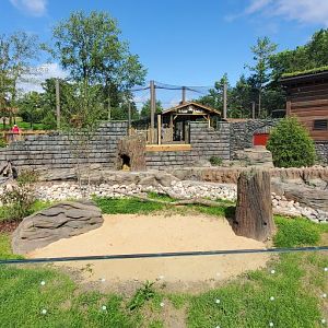North America Trek: Otter Viewing