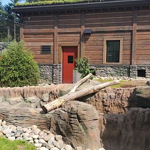 North America Trek: Otter Viewing