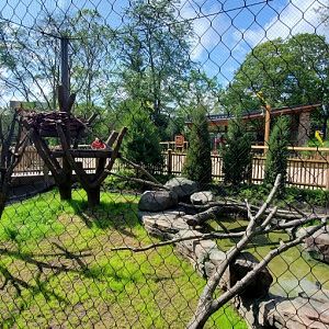 North America Trek: Bald Eagle Exhibit