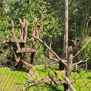 North America Trek: Bald Eagle Exhibit