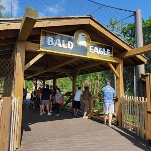 North America Trek: Bald Eagle Bridge