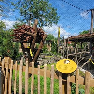 North America Trek: Bald Eagle Exhibit