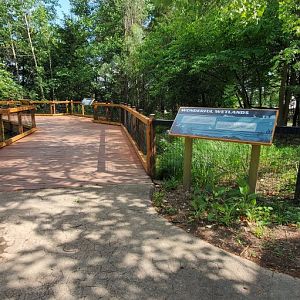 North America Trek: Wetlands