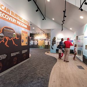 North America Trek: Conservation Building