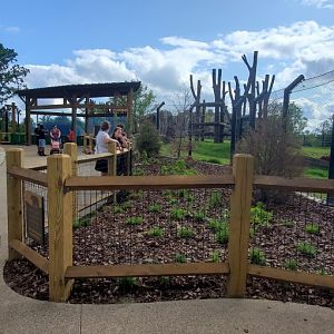 North America Trek: Black Bear Exhibit