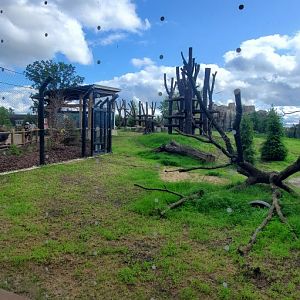North America Trek: Black Bear Exhibit