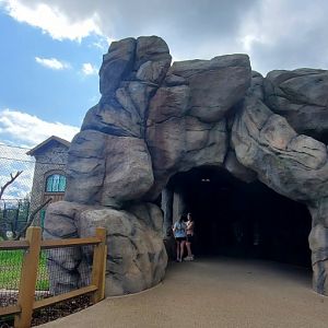 North America Trek: Indoor Bear Viewing