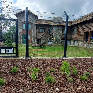North America Trek: Bear Holding Building