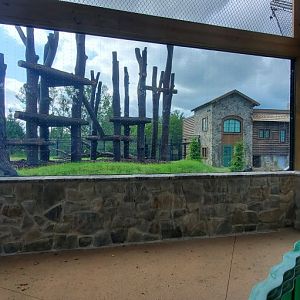 North America Trek: Black Bear Viewing