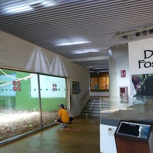 View inside gorilla house -Parque de la Naturaleza de Cabárceno (2025)