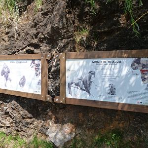 New signage style for Western lowland gorillas and DeBrazza's monkeys -Parque de la Naturaleza de Cabárceno (2025)