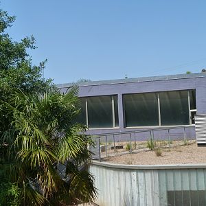 View outside gorilla house -Parque de la Naturaleza de Cabárceno (2025)