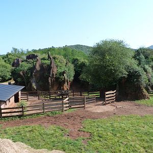 Indian gaur and Bactrian camel housing and exhibits -Parque de la Naturaleza de Cabárceno (2025)