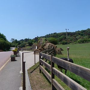 View from the "Fauna Africana" exhibit -Parque de la Naturaleza de Cabárceno (2025)