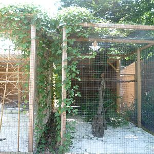 Aviaries for brids of prey -Parque de la Naturaleza de Cabárceno (2025)