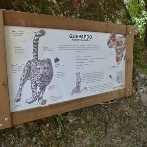 New signage style for South African cheetahs -Parque de la Naturaleza de Cabárceno (2025)