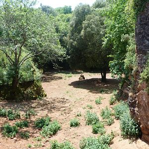 Bennett's wallaby and Emu exhibit -Parque de la Naturaleza de Cabárceno (2025)