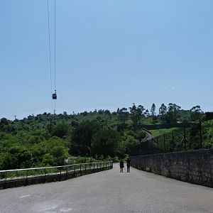 View from guinea baboon exhibit -Parque de la Naturaleza de Cabárceno (2025)