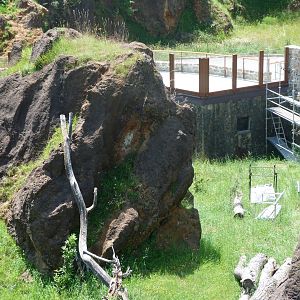 Lynx exhibit under renovations -Parque de la Naturaleza de Cabárceno (2025)