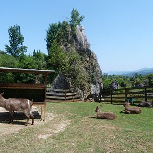 Ellipsen waterbuck holding pen -Parque de la Naturaleza de Cabárceno (2025)